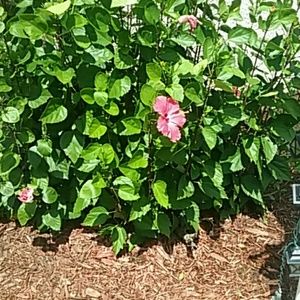 Meet your Posher, Margie